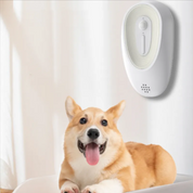 Pet Odor Eliminator for Litter Boxes